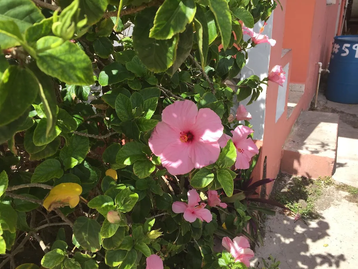Апарт-отель Oceanfront Luquillo Condo Пуэрто-Рико